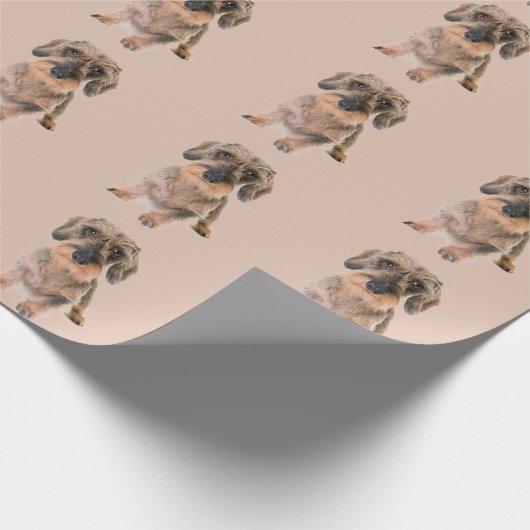 ワイヤーヘアテリア犬モダン茶色の動物かわいい ラッピングペーパー (角)