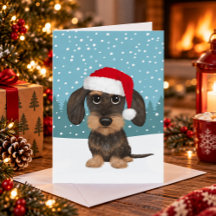 ワイヤーヘアードダックスフントのサンタテッケル犬クリスマス