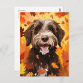 ワイヤーヘアード・ポインティング・グリフォンの秋の感謝祭 ポストカード (正面/裏面)