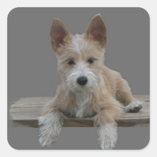 ワイヤーポルトガル語ポデゴペケノ スクエアシール