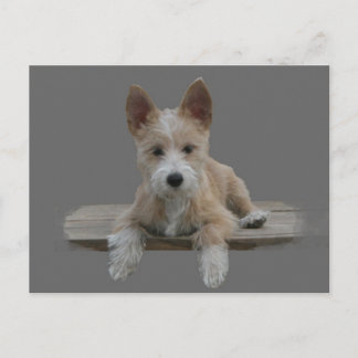 ワイヤーポルトガル語ポデゴペケノ ポストカード