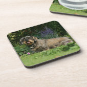 ワイヤー髪の標準的なダックスフントのモデル コースター (左側)