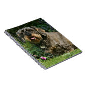 ワイヤー髪の標準的なダックスフントのモデル ノートブック (右側)