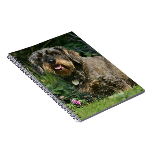 ワイヤー髪の標準的なダックスフントのモデル ノートブック (右側)