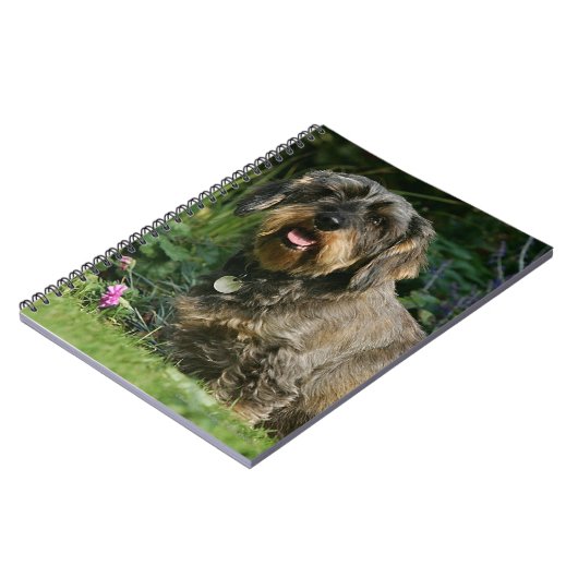 ワイヤー髪の標準的なダックスフントのモデル ノートブック (左側)