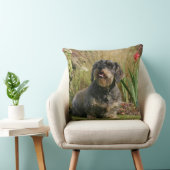 ワイヤー髪の標準的なダックスフント クッション (椅子)