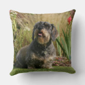 ワイヤー髪の標準的なダックスフント クッション (裏面)