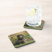 ワイヤー髪の標準的なダックスフント コースター (右側)