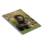 ワイヤー髪の標準的なダックスフント ノートブック (右側)