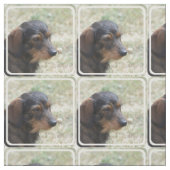 ワイヤー髪のDaschund犬 ファブリック (見本)