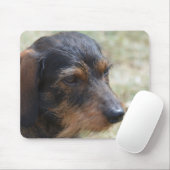 ワイヤー髪のDaschund犬 マウスパッド (マウス)