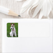 ワイヤー・フォックス・テリア座 ラベル (インサイチュ)