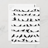 ワイヤ上の鳥4 ポストカード (正面/裏面)