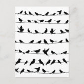 ワイヤ上の鳥4 ポストカード (正面)