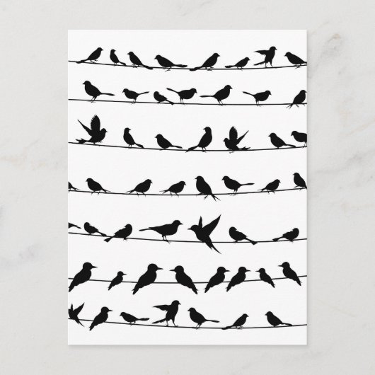 ワイヤ上の鳥4 ポストカード (正面)