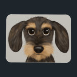 ワイヤ毛のダクシュント|かわいい漫画のドッグテッケル マグネット<br><div class="desc">ワイヤーのおもしろいキッチンのマグネットは、ダクシュントの恋人たちの髪をした。イノシシと黄褐色のテッケル。Jenn's Doodle worldを訪れ、このおもしろい犬とより多くのオリジナル·ウィーナー·ドッグのデザインで、家やオフィス用のアクセサリを追加。</div>