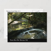 ワイララパ州タラルア森林公園 ポストカード (正面/裏面)