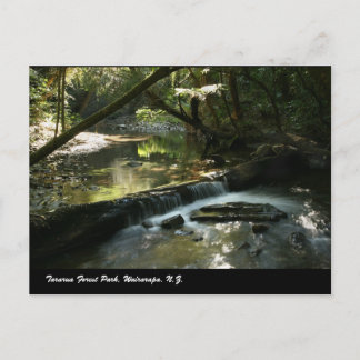 ワイララパ州タラルア森林公園 ポストカード