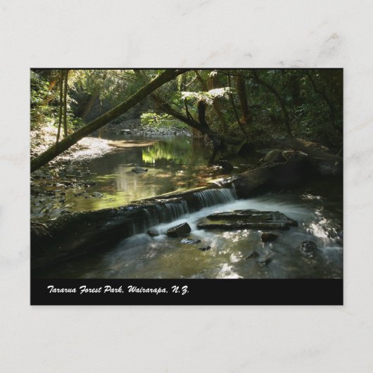 ワイララパ州タラルア森林公園 ポストカード (正面)