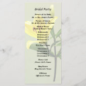 ワイリリー プログラム (裏面)