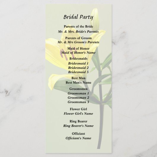 ワイリリー プログラム (裏面)