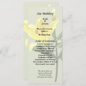 ワイリリー プログラム (正面/裏面)