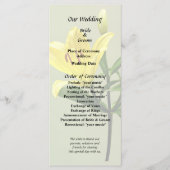 ワイリリー プログラム (正面)