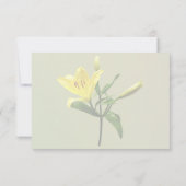 ワイリリー 出欠カード (裏面)