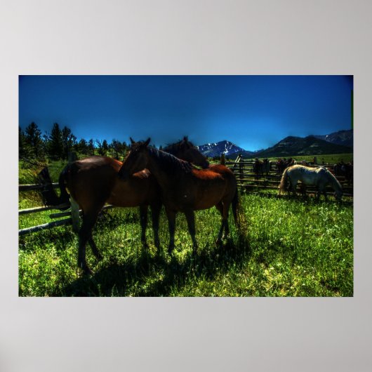 ワイリーと充電器 ポスター (正面)