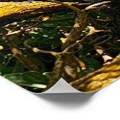 ワイルアゴルフコースシーン ポスター (角)