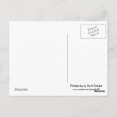 ワイルア川でカヤック ポストカード (裏面)