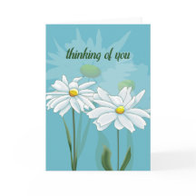 ワイルデイジーを想って