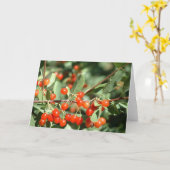 ワイルドさくらんぼ1 カード (黄色い花)