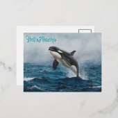 ワイルドでシャチ海Orcaブリーチング 箔シーズンポストカード (正面/裏面)