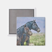 ワイルドでフリー、マグネット マグネット (正面/裏面)