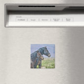 ワイルドでフリー、マグネット マグネット (インサイチュ (食洗機))