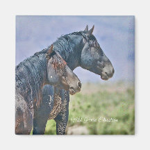 ワイルドでフリー、マグネット