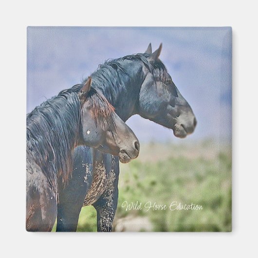 ワイルドでフリー、マグネット マグネット (正面)