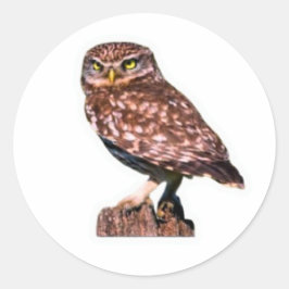ワイルドなアメリカワシミミズクのステッカー - 荒野の自然 ラウンドシール
