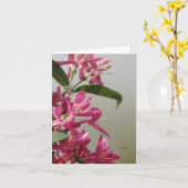 ワイルドなピンクのスイカズラ カード (黄色い花)