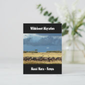 ワイルドな移民マサイマラKenyaはがき ポストカード (スタンド正面)