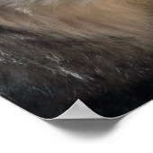 ワイルドの灰色の狼 ポスター (角)