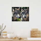 ワイルドの灰色の狼 ポスター (キッチン)