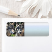 ワイルドの灰色の狼 ラベル (インサイチュ)