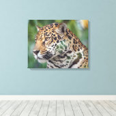 ワイルドの美しいジャガー キャンバスプリント (インサイチュ (ウッドフロア))