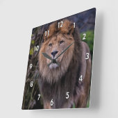 ワイルドの美しいライオン スクエア壁時計 (傾斜)