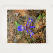 ワイルドアイリス開花..... タペストリー (正面(横))