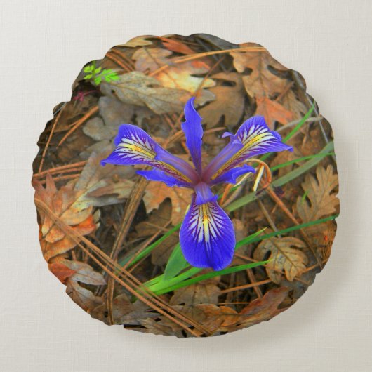 ワイルドアイリス開花..... ラウンドクッション (正面)