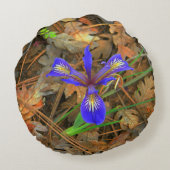 ワイルドアイリス開花..... ラウンドクッション (裏面)