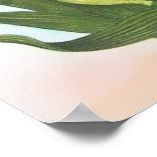 ワイルドアイリス ポスター (角)